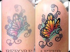 Butterfly Before After