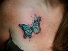 butterfly-bleeding-color
