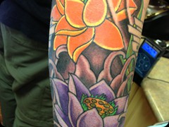 orange-purple-lotus